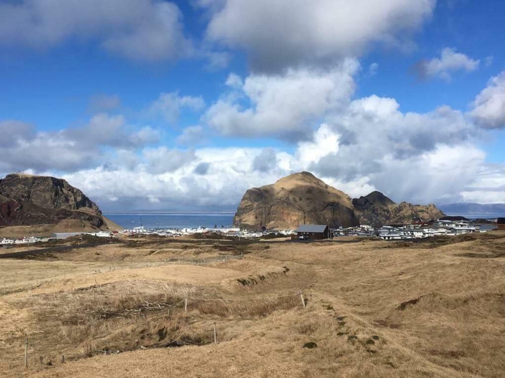 Ofanleiti Cottages فيستمانايار المظهر الخارجي الصورة